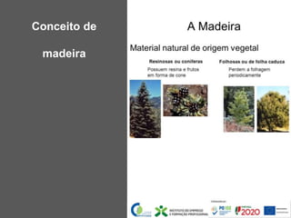 Conceito de
madeira
 