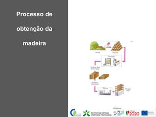 Processo de
obtenção da
madeira
 