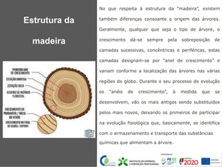 No que respeita à estrutura da “madeira”, existem
também diferenças consoante a origem das árvores.
Geralmente, qualquer que seja o tipo de árvore, o
crescimento dá-se sempre pela sobreposição de
camadas sucessivas, concêntricas e periféricas, estas
camadas designam-se por “anel de crescimento” e
variam conforme a localização das árvores nas várias
regiões do globo. Durante o seu processo de evolução
os “anéis de crescimento”, à medida que se
desenvolvem, vão os mais antigos sendo substituídos
pelos mais novos, deixando os primeiros de participar
na evolução fisiológica que, basicamente, se identifica
com o armazenamento e transporte das substâncias
químicas que alimentam a árvore.
Estrutura da
madeira
 