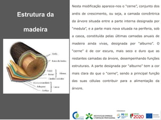 Nesta modificação aparece-nos o “cerne”, conjunto dos
anéis de crescimento, ou seja, a camada concêntrica
da árvore situada entre a parte interna designada por
“medula”, e a parte mais nova situada na periferia, sob
a casca, constituída pelas últimas camadas anuais de
madeira ainda vivas, designada por “alburno”. O
“cerne” é de cor escura, mais seco e duro que as
restantes camadas da árvore, desempenhando funções
estruturais. A parte designada por “alburno” tem a cor
mais clara do que o “cerne”, sendo a principal função
das suas células contribuir para a alimentação da
árvore.
Estrutura da
madeira
 