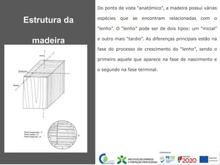 Do ponto de vista “anatómico”, a madeira possui várias
espécies que se encontram relacionadas com o
“lenho”. O “lenho” pode ser de dois tipos: um “inicial”
e outro mais “tardio”. As diferenças principais estão na
fase do processo de crescimento do “lenho”, sendo o
primeiro aquele que aparece na fase de nascimento e
o segundo na fase terminal.
Estrutura da
madeira
 