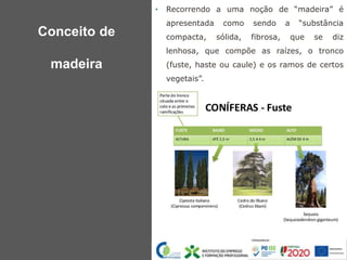 • Recorrendo a uma noção de “madeira” é
apresentada como sendo a “substância
compacta, sólida, fibrosa, que se diz
lenhosa, que compõe as raízes, o tronco
(fuste, haste ou caule) e os ramos de certos
vegetais”.
Conceito de
madeira
 