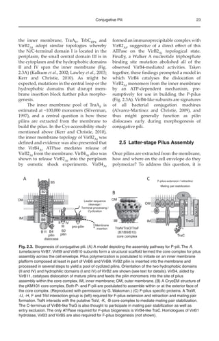 Bacterial Pili Structure Synthesis And Role In Disease Ma Barocchi | PDF