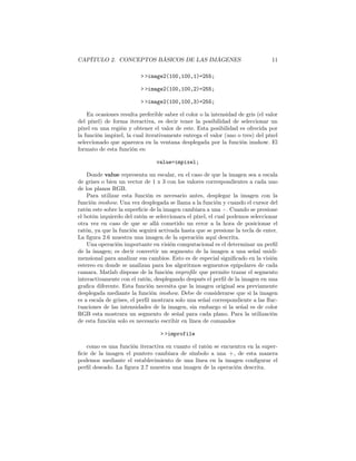 CAPÍTULO 2. CONCEPTOS BÁSICOS DE LAS IMÁGENES                                    11

                          > >image2(100,100,1)=255;

                          > >image2(100,100,2)=255;

                          > >image2(100,100,3)=255;

    En ocasiones resulta preferible saber el color o la intensidad de gris (el valor
del píxel) de forma iteractiva, es decir tener la posibilidad de seleccionar un
píxel en una región y obtener el valor de este. Esta posibilidad es ofrecida por
la función impixel, la cual iterativamente entrega el valor (uno o tres) del píxel
seleccionado que aparezca en la ventana desplegada por la función imshow. El
formato de esta función es:

                                 value=impixel;

    Donde value representa un escalar, en el caso de que la imagen sea a escala
de grises o bien un vector de 1 x 3 con los valores correspondientes a cada uno
de los planos RGB.
    Para utilizar esta función es necesario antes, desplegar la imagen con la
función imshow. Una vez desplegada se llama a la función y cuando el cursor del
ratón este sobre la superﬁcie de la imagen cambiara a una +. Cuando se presione
el botón izquierdo del ratón se seleccionara el píxel, el cual podemos seleccionar
otra vez en caso de que se allá cometido un error a la hora de posicionar el
ratón, ya que la función seguirá activada hasta que se presione la tecla de enter.
La ﬁgura 2.6 muestra una imagen de la operación aquí descrita.
    Una operación importante en visión computacional es el determinar un perﬁl
de la imagen; es decir convertir un segmento de la imagen a una señal unidi-
mensional para analizar sus cambios. Esto es de especial signiﬁcado en la visión
estereo en donde se analizan para los algoritmos segmentos epipolares de cada
camara. Matlab dispone de la función improﬁle que permite trazar el segmento
interactivamente con el ratón, desplegando después el perﬁl de la imagen en una
graﬁca diferente. Esta función necesita que la imagen original sea previamente
desplegada mediante la función imshow. Debe de considerarse que si la imagen
es a escala de grises, el perﬁl mostrara solo una señal correspondiente a las ﬂuc-
tuaciones de las intensidades de la imagen, sin embargo si la señal es de color
RGB esta mostrara un segmento de señal para cada plano. Para la utilización
de esta función solo es necesario escribir en línea de comandos

                                  > >improfile

    como es una función iteractiva en cuanto el ratón se encuentra en la super-
ﬁcie de la imagen el puntero cambiara de símbolo a una +, de esta manera
podemos mediante el establecimiento de una línea en la imagen conﬁgurar el
perﬁl deseado. La ﬁgura 2.7 muestra una imagen de la operación descrita.
 