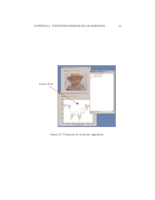 CAPÍTULO 2. CONCEPTOS BÁSICOS DE LAS IMÁGENES                  13




   Perfiles RGB




            Figura 2.7: Utilización de la función improfile.
 