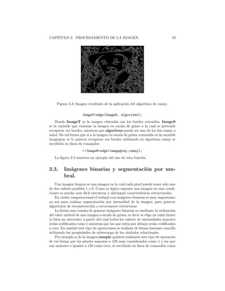 CAPÍTULO 3. PROCESAMIENTO DE LA IMAGEN.                                          19




     Figura 3.3: Imagen resultado de la aplicación del algoritmo de canny.

                      ImageT=edge(ImageS, algoritmo);
    Donde ImageT es la imagen obtenida con los bordes extraídos, ImageS
es la variable que contiene la imagen en escala de grises a la cual se pretende
recuperar sus bordes, mientras que algoritmo puede ser uno de los dos canny o
sobel. De tal forma que si a la imagen en escala de grises contenida en la variable
imagegray se le quieren recuperar sus bordes utilizando en algoritmo canny se
escribiría en línea de comandos:
                     > >ImageR=edge(imagegray,canny);
   La ﬁgura 3.3 muestra un ejemplo del uso de esta función.


3.3.     Imágenes binarias y segmentación por um-
         bral.
    Una imagen binaria es una imagen en la cual cada píxel puede tener solo uno
de dos valores posibles 1 o 0. Como es lógico suponer una imagen en esas condi-
ciones es mucho mas fácil encontrar y distinguir características estructurales.
    En visión computacional el trabajo con imágenes binarias es muy importante
ya sea para realizar segmentación por intensidad de la imagen, para generar
algoritmos de reconstrucción o recoconocer estructuras.
    La forma mas común de generar imágenes binarias es mediante la utilización
del valor umbral de una imagen a escala de grises; es decir se elige un valor limite
(o bien un intervalo) a partir del cual todos los valores de intensidades mayores
serán codiﬁcados como 1 mientras que los que estén por debajo serán codiﬁcados
a cero. En matlab este tipo de operaciones se realizan de forma bastante sencilla
utilizando las propiedades de sobrecarga de los símbolos relaciónales.
    Por ejemplo si de la imagen sample quisiera realizarse este tipo de operación
de tal forma que los píxeles mayores a 128 sean considerados como 1 y los que
son menores o iguales a 128 como cero, se escribiría en línea de comandos como
 