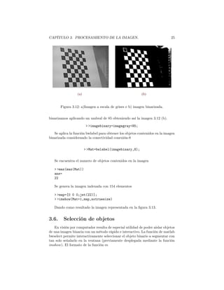 CAPÍTULO 3. PROCESAMIENTO DE LA IMAGEN.                                      25




                  (a)                                     (b)


       Figura 3.12: a)Imagen a escala de grises e b) imagen binarizada.


binarizamos aplicando un umbral de 85 obteniendo así la imagen 3.12 (b).

                         > >imagebinary=imagegray<85;

   Se aplica la función bwlabel para obtener los objetos contenidos en la imagen
binarizada considerando la conectividad conexión-8


                        > >Mat=bwlabel(imagebinary,8);


   Se encuentra el numero de objetos contenidos en la imagen

   > >max(max(Mat))
   ans=
   22

   Se genera la imagen indexada con 154 elementos

   > >map=[0 0 0;jet(22)];
   > >imshow(Mat+1,map,notruesize)

   Dando como resultado la imagen representada en la ﬁgura 3.13.


3.6.     Selección de objetos
   En visión por computador resulta de especial utilidad de poder aislar objetos
de una imagen binaria con un método rápido e interactivo. La función de matlab
bwselect permite interactivamente seleccionar el objeto binario a segmentar con
tan solo señalarlo en la ventana (previamente desplegada mediante la función
imshow ). El formato de la función es
 
