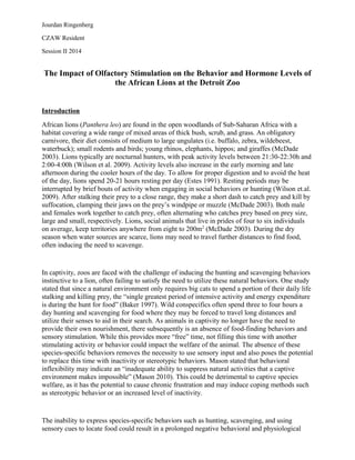 Jourdan Ringenberg
CZAW Resident
Session II 2014
The Impact of Olfactory Stimulation on the Behavior and Hormone Levels of
the African Lions at the Detroit Zoo
Introduction
African lions (Panthera leo) are found in the open woodlands of Sub-Saharan Africa with a
habitat covering a wide range of mixed areas of thick bush, scrub, and grass. An obligatory
carnivore, their diet consists of medium to large ungulates (i.e. buffalo, zebra, wildebeest,
waterbuck); small rodents and birds; young rhinos, elephants, hippos; and giraffes (McDade
2003). Lions typically are nocturnal hunters, with peak activity levels between 21:30-22:30h and
2:00-4:00h (Wilson et al. 2009). Activity levels also increase in the early morning and late
afternoon during the cooler hours of the day. To allow for proper digestion and to avoid the heat
of the day, lions spend 20-21 hours resting per day (Estes 1991). Resting periods may be
interrupted by brief bouts of activity when engaging in social behaviors or hunting (Wilson et.al.
2009). After stalking their prey to a close range, they make a short dash to catch prey and kill by
suffocation, clamping their jaws on the prey’s windpipe or muzzle (McDade 2003). Both male
and females work together to catch prey, often alternating who catches prey based on prey size,
large and small, respectively. Lions, social animals that live in prides of four to six individuals
on average, keep territories anywhere from eight to 200m2
(McDade 2003). During the dry
season when water sources are scarce, lions may need to travel further distances to find food,
often inducing the need to scavenge.
In captivity, zoos are faced with the challenge of inducing the hunting and scavenging behaviors
instinctive to a lion, often failing to satisfy the need to utilize these natural behaviors. One study
stated that since a natural environment only requires big cats to spend a portion of their daily life
stalking and killing prey, the “single greatest period of intensive activity and energy expenditure
is during the hunt for food” (Baker 1997). Wild conspecifics often spend three to four hours a
day hunting and scavenging for food where they may be forced to travel long distances and
utilize their senses to aid in their search. As animals in captivity no longer have the need to
provide their own nourishment, there subsequently is an absence of food-finding behaviors and
sensory stimulation. While this provides more “free” time, not filling this time with another
stimulating activity or behavior could impact the welfare of the animal. The absence of these
species-specific behaviors removes the necessity to use sensory input and also poses the potential
to replace this time with inactivity or stereotypic behaviors. Mason stated that behavioral
inflexibility may indicate an “inadequate ability to suppress natural activities that a captive
environment makes impossible” (Mason 2010). This could be detrimental to captive species
welfare, as it has the potential to cause chronic frustration and may induce coping methods such
as stereotypic behavior or an increased level of inactivity.
The inability to express species-specific behaviors such as hunting, scavenging, and using
sensory cues to locate food could result in a prolonged negative behavioral and physiological
 