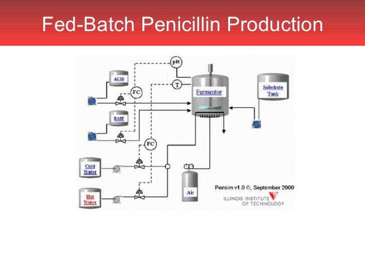 production of penicillin through fermentation essay production of penicillin through fermentation essay