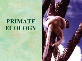 PRIMATE ECOLOGY 