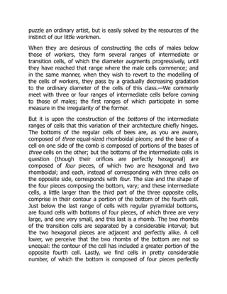 puzzle an ordinary artist, but is easily solved by the resources of the
instinct of our little workmen.
When they are desirous of constructing the cells of males below
those of workers, they form several ranges of intermediate or
transition cells, of which the diameter augments progressively, until
they have reached that range where the male cells commence; and
in the same manner, when they wish to revert to the modelling of
the cells of workers, they pass by a gradually decreasing gradation
to the ordinary diameter of the cells of this class.—We commonly
meet with three or four ranges of intermediate cells before coming
to those of males; the first ranges of which participate in some
measure in the irregularity of the former.
But it is upon the construction of the bottoms of the intermediate
ranges of cells that this variation of their architecture chiefly hinges.
The bottoms of the regular cells of bees are, as you are aware,
composed of three equal-sized rhomboidal pieces; and the base of a
cell on one side of the comb is composed of portions of the bases of
three cells on the other; but the bottoms of the intermediate cells in
question (though their orifices are perfectly hexagonal) are
composed of four pieces, of which two are hexagonal and two
rhomboidal; and each, instead of corresponding with three cells on
the opposite side, corresponds with four. The size and the shape of
the four pieces composing the bottom, vary; and these intermediate
cells, a little larger than the third part of the three opposite cells,
comprise in their contour a portion of the bottom of the fourth cell.
Just below the last range of cells with regular pyramidal bottoms,
are found cells with bottoms of four pieces, of which three are very
large, and one very small, and this last is a rhomb. The two rhombs
of the transition cells are separated by a considerable interval; but
the two hexagonal pieces are adjacent and perfectly alike. A cell
lower, we perceive that the two rhombs of the bottom are not so
unequal: the contour of the cell has included a greater portion of the
opposite fourth cell. Lastly, we find cells in pretty considerable
number, of which the bottom is composed of four pieces perfectly
 