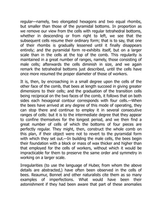 regular—namely, two elongated hexagons and two equal rhombs,
but smaller than those of the pyramidal bottoms. In proportion as
we remove our view from the cells with regular tetrahedral bottoms,
whether in descending or from right to left, we see that the
subsequent cells resume their ordinary form; that is to say, that one
of their rhombs is gradually lessened until it finally disappears
entirely; and the pyramidal form re-exhibits itself, but on a larger
scale than in the cells at the top of the comb. This regularity is
maintained in a great number of ranges, namely, those consisting of
male cells; afterwards the cells diminish in size, and we again
remark the tetrahedral bottoms just described, until the cells have
once more resumed the proper diameter of those of workers.
It is, then, by encroaching in a small degree upon the cells of the
other face of the comb, that bees at length succeed in giving greater
dimensions to their cells; and the graduation of the transition cells
being reciprocal on the two faces of the comb, it follows that on both
sides each hexagonal contour corresponds with four cells.—When
the bees have arrived at any degree of this mode of operating, they
can stop there and continue to employ it in several consecutive
ranges of cells: but it is to the intermediate degree that they appear
to confine themselves for the longest period, and we then find a
great number of cells of which the bottoms of four pieces are
perfectly regular. They might, then, construct the whole comb on
this plan, if their object were not to revert to the pyramidal form
with which they set out.—In building the male cells, the bees begin
their foundation with a block or mass of wax thicker and higher than
that employed for the cells of workers, without which it would be
impracticable for them to preserve the same order and symmetry in
working on a larger scale.
Irregularities (to use the language of Huber, from whom the above
details are abstracted,) have often been observed in the cells of
bees. Reaumur, Bonnet and other naturalists cite them as so many
examples of imperfections. What would have been their
astonishment if they had been aware that part of these anomalies
 