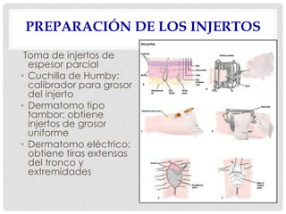PREPARACIÓN DE LOS INJERTOS
Toma de injertos de
espesor parcial
• Cuchilla de Humby:
calibrador para grosor
del injerto
• Dermatomo tipo
tambor: obtiene
injertos de grosor
uniforme
• Dermatomo eléctrico:
obtiene tiras extensas
del tronco y
extremidades
 
