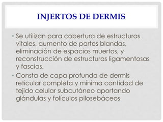 INJERTOS DE DERMIS
• Se utilizan para cobertura de estructuras
vitales, aumento de partes blandas,
eliminación de espacios muertos, y
reconstrucción de estructuras ligamentosas
y fascias.
• Consta de capa profunda de dermis
reticular completa y mínima cantidad de
tejido celular subcutáneo aportando
glándulas y folículos pilosebáceos
 