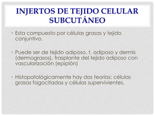 INJERTOS DE TEJIDO CELULAR
SUBCUTÁNEO
• Esta compuesto por células grasas y tejido
conjuntivo.
• Puede ser de tejido adiposo, t. adiposo y dermis
(dermograsos), trasplante del tejido adiposo con
vascularización (epiplón)
• Histopatológicamente hay dos teorías: células
grasas fagocitadas y células supervivientes.
 