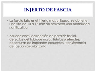 INJERTO DE FASCIA
• La fascia lata es el injerto mas utilizado, se obtiene
una tira de 10 a 15 mm sin provocar una morbilidad
significativa
• Aplicaciones: corrección de parálisis facial,
defectos del tabique nasal, fístulas ureterales,
coberturas de implantes expuestos, transferencia
de fascia vascularizada
 