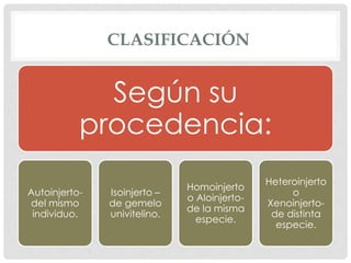 CLASIFICACIÓN
Según su
procedencia:
Autoinjerto-
del mismo
individuo.
Isoinjerto –
de gemelo
univitelino.
Homoinjerto
o Aloinjerto-
de la misma
especie.
Heteroinjerto
o
Xenoinjerto-
de distinta
especie.
 