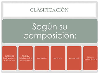 CLASIFICACIÓN
Según su
composición:
cutáneos
(epidérmicos
y dérmicos)
fascia y
tejido celular
subcutaneo.
tendinosos. nerviosos. vasculares.
óseos y
cartilaginosos
 