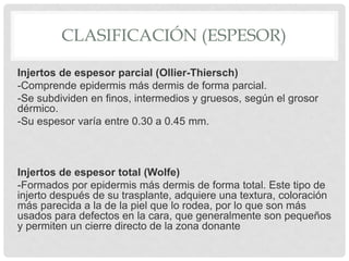 CLASIFICACIÓN (ESPESOR)
Injertos de espesor parcial (Ollier-Thiersch)
-Comprende epidermis más dermis de forma parcial.
-Se subdividen en finos, intermedios y gruesos, según el grosor
dérmico.
-Su espesor varía entre 0.30 a 0.45 mm.
Injertos de espesor total (Wolfe)
-Formados por epidermis más dermis de forma total. Este tipo de
injerto después de su trasplante, adquiere una textura, coloración
más parecida a la de la piel que lo rodea, por lo que son más
usados para defectos en la cara, que generalmente son pequeños
y permiten un cierre directo de la zona donante
 