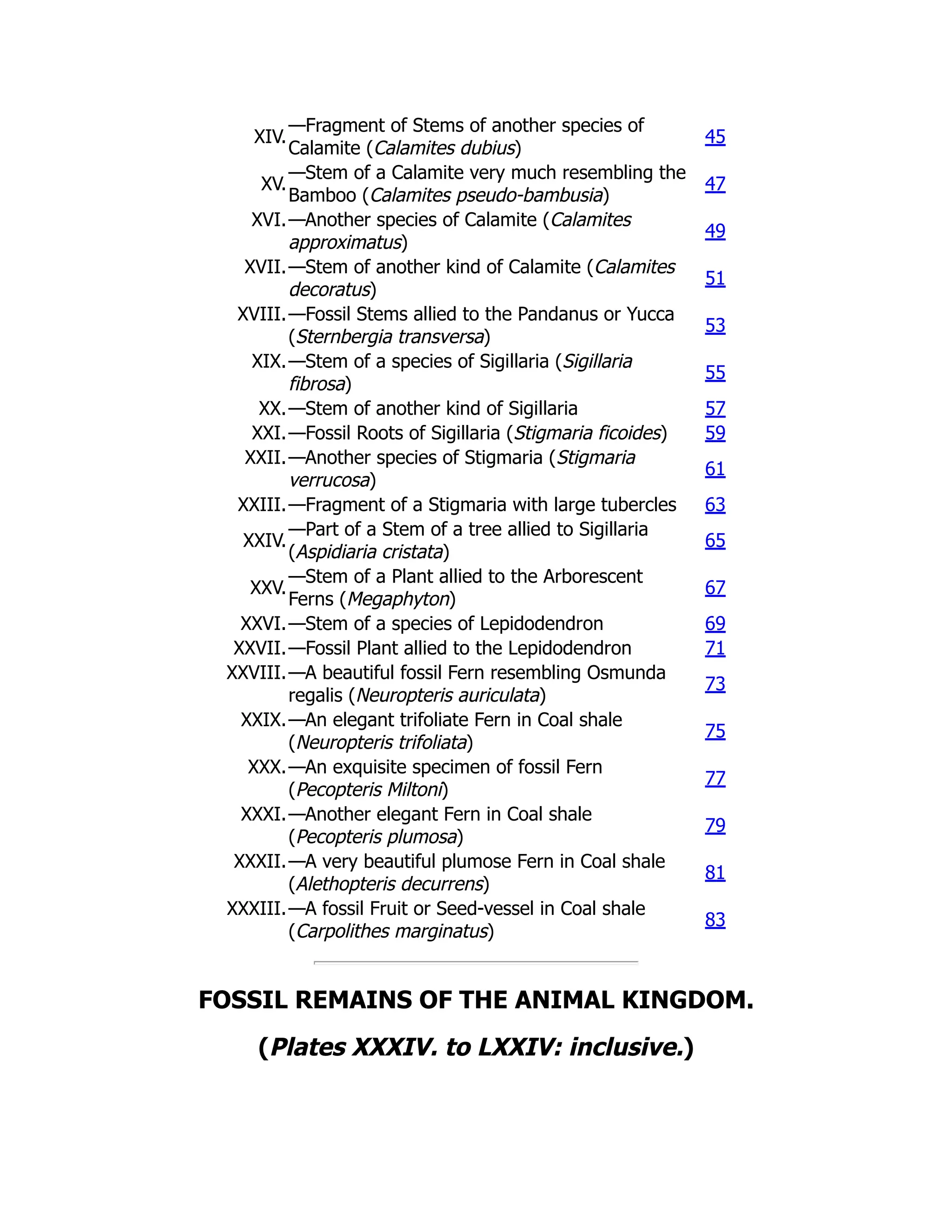 XIV.
—Fragment of Stems of another species of
Calamite (Calamites dubius)
45
XV.
—Stem of a Calamite very much resembling the
Bamboo (Calamites pseudo-bambusia)
47
XVI.—Another species of Calamite (Calamites
approximatus)
49
XVII.—Stem of another kind of Calamite (Calamites
decoratus)
51
XVIII.—Fossil Stems allied to the Pandanus or Yucca
(Sternbergia transversa)
53
XIX.—Stem of a species of Sigillaria (Sigillaria
fibrosa)
55
XX.—Stem of another kind of Sigillaria 57
XXI.—Fossil Roots of Sigillaria (Stigmaria ficoides) 59
XXII.—Another species of Stigmaria (Stigmaria
verrucosa)
61
XXIII.—Fragment of a Stigmaria with large tubercles 63
XXIV.
—Part of a Stem of a tree allied to Sigillaria
(Aspidiaria cristata)
65
XXV.
—Stem of a Plant allied to the Arborescent
Ferns (Megaphyton)
67
XXVI.—Stem of a species of Lepidodendron 69
XXVII.—Fossil Plant allied to the Lepidodendron 71
XXVIII.—A beautiful fossil Fern resembling Osmunda
regalis (Neuropteris auriculata)
73
XXIX.—An elegant trifoliate Fern in Coal shale
(Neuropteris trifoliata)
75
XXX.—An exquisite specimen of fossil Fern
(Pecopteris Miltoni)
77
XXXI.—Another elegant Fern in Coal shale
(Pecopteris plumosa)
79
XXXII.—A very beautiful plumose Fern in Coal shale
(Alethopteris decurrens)
81
XXXIII.—A fossil Fruit or Seed-vessel in Coal shale
(Carpolithes marginatus)
83
FOSSIL REMAINS OF THE ANIMAL KINGDOM.
(Plates XXXIV. to LXXIV: inclusive.)
 