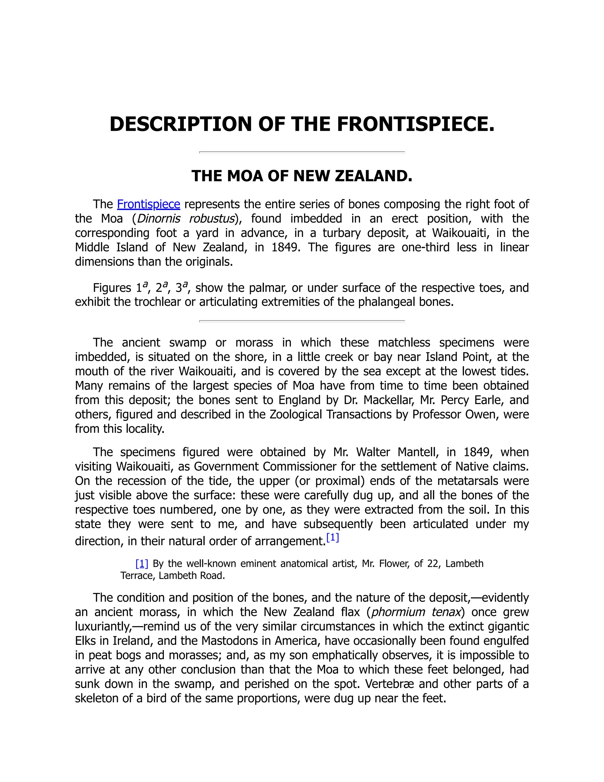 DESCRIPTION OF THE FRONTISPIECE.
THE MOA OF NEW ZEALAND.
The Frontispiece represents the entire series of bones composing the right foot of
the Moa (Dinornis robustus), found imbedded in an erect position, with the
corresponding foot a yard in advance, in a turbary deposit, at Waikouaiti, in the
Middle Island of New Zealand, in 1849. The figures are one-third less in linear
dimensions than the originals.
Figures 1a, 2a, 3a, show the palmar, or under surface of the respective toes, and
exhibit the trochlear or articulating extremities of the phalangeal bones.
The ancient swamp or morass in which these matchless specimens were
imbedded, is situated on the shore, in a little creek or bay near Island Point, at the
mouth of the river Waikouaiti, and is covered by the sea except at the lowest tides.
Many remains of the largest species of Moa have from time to time been obtained
from this deposit; the bones sent to England by Dr. Mackellar, Mr. Percy Earle, and
others, figured and described in the Zoological Transactions by Professor Owen, were
from this locality.
The specimens figured were obtained by Mr. Walter Mantell, in 1849, when
visiting Waikouaiti, as Government Commissioner for the settlement of Native claims.
On the recession of the tide, the upper (or proximal) ends of the metatarsals were
just visible above the surface: these were carefully dug up, and all the bones of the
respective toes numbered, one by one, as they were extracted from the soil. In this
state they were sent to me, and have subsequently been articulated under my
direction, in their natural order of arrangement.[1]
[1] By the well-known eminent anatomical artist, Mr. Flower, of 22, Lambeth
Terrace, Lambeth Road.
The condition and position of the bones, and the nature of the deposit,—evidently
an ancient morass, in which the New Zealand flax (phormium tenax) once grew
luxuriantly,—remind us of the very similar circumstances in which the extinct gigantic
Elks in Ireland, and the Mastodons in America, have occasionally been found engulfed
in peat bogs and morasses; and, as my son emphatically observes, it is impossible to
arrive at any other conclusion than that the Moa to which these feet belonged, had
sunk down in the swamp, and perished on the spot. Vertebræ and other parts of a
skeleton of a bird of the same proportions, were dug up near the feet.
 