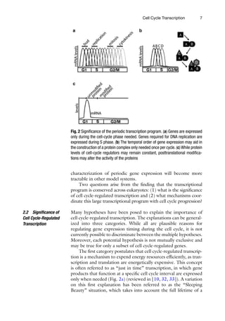 Cell Cycle Control Mechanisms And Protocols 1st Edition Eishi Noguchi | PDF
