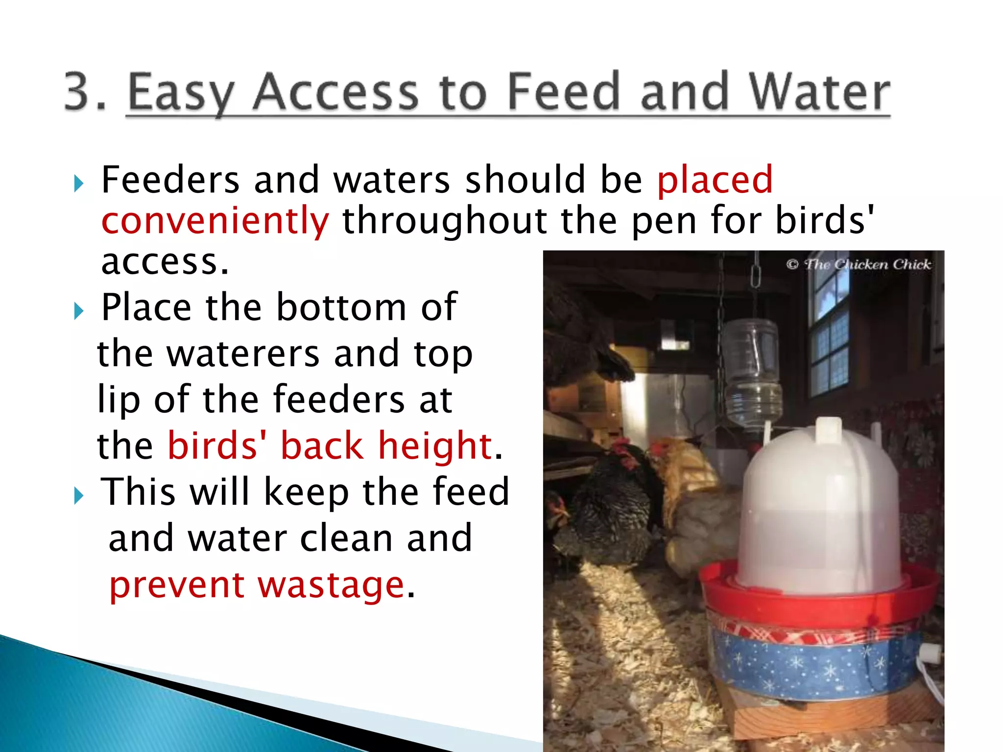  Feeders and waters should be placed
conveniently throughout the pen for birds'
access.
 Place the bottom of
the waterers and top
lip of the feeders at
the birds' back height.
 This will keep the feed
and water clean and
prevent wastage.
 