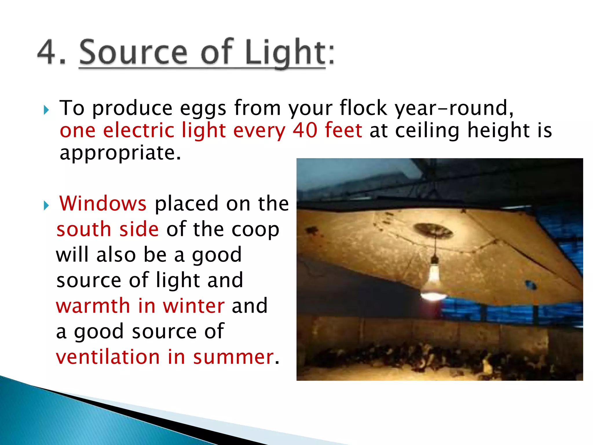  To produce eggs from your flock year-round,
one electric light every 40 feet at ceiling height is
appropriate.
 Windows placed on the
south side of the coop
will also be a good
source of light and
warmth in winter and
a good source of
ventilation in summer.
 