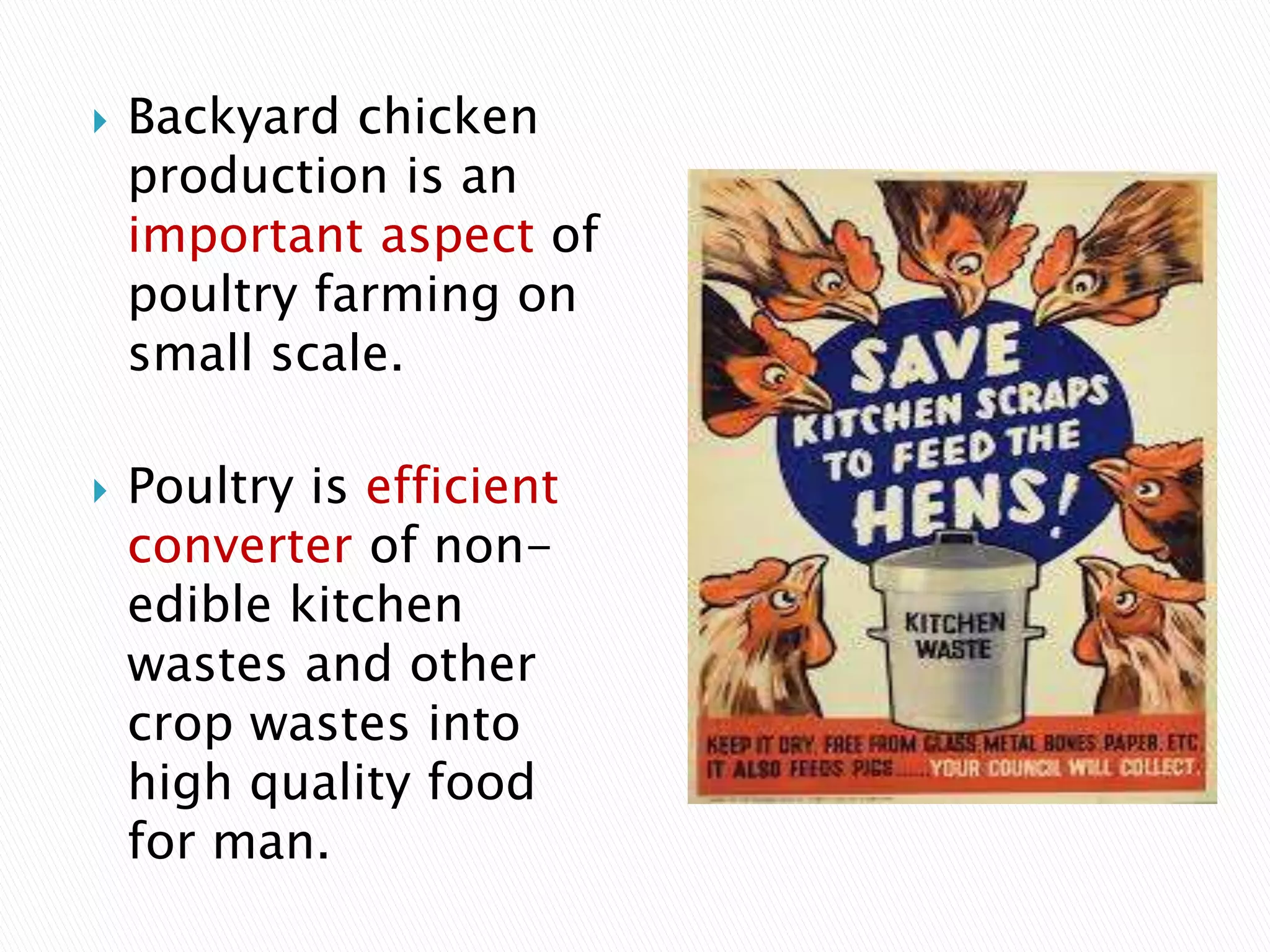  Backyard chicken
production is an
important aspect of
poultry farming on
small scale.
 Poultry is efficient
converter of non-
edible kitchen
wastes and other
crop wastes into
high quality food
for man.
 