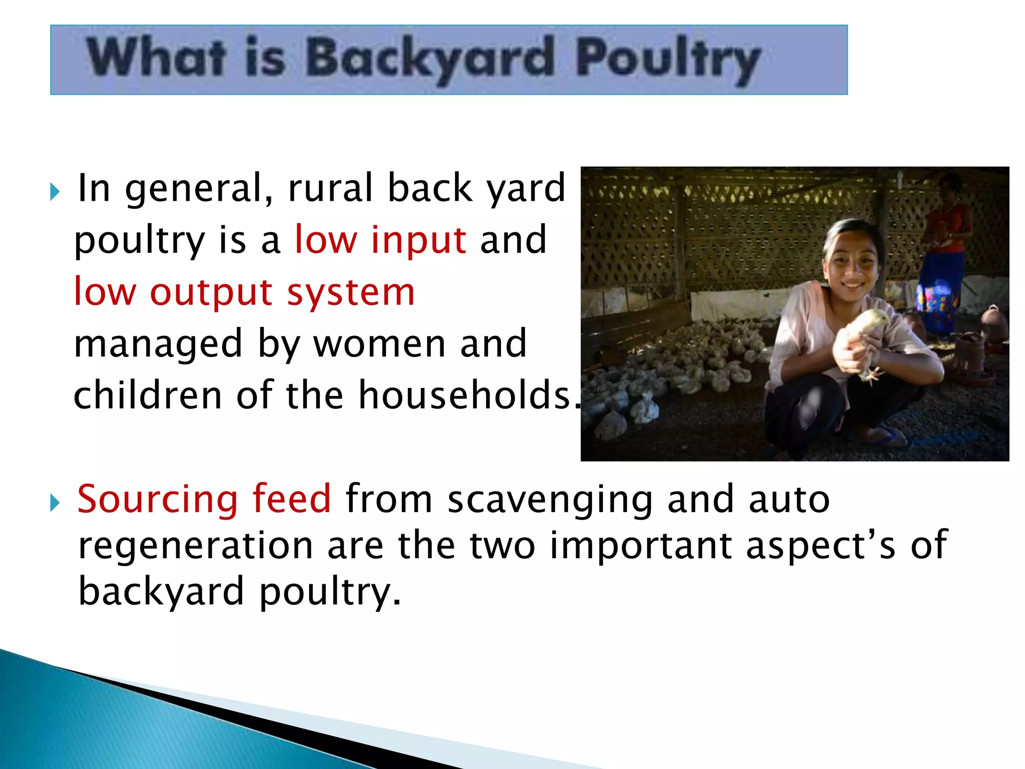  In general, rural back yard
poultry is a low input and
low output system
managed by women and
children of the households.
 Sourcing feed from scavenging and auto
regeneration are the two important aspect’s of
backyard poultry.
 