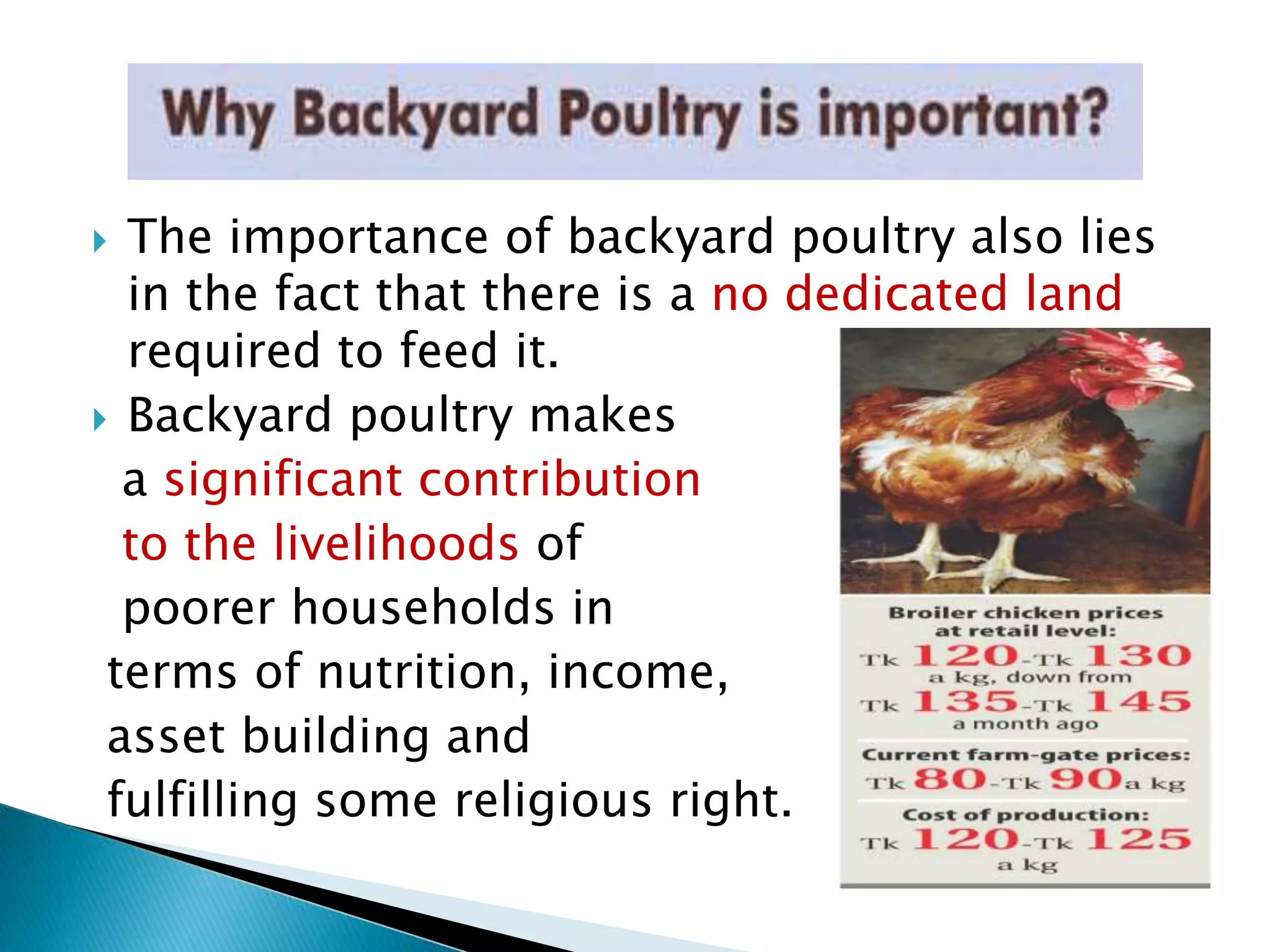 The importance of backyard poultry also lies
in the fact that there is a no dedicated land
required to feed it.
 Backyard poultry makes
a significant contribution
to the livelihoods of
poorer households in
terms of nutrition, income,
asset building and
fulfilling some religious right.
 