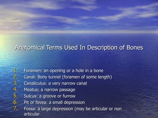 Anatomical   Terms Used In Description of Bones ,[object Object],[object Object],[object Object],[object Object],[object Object],[object Object],[object Object]