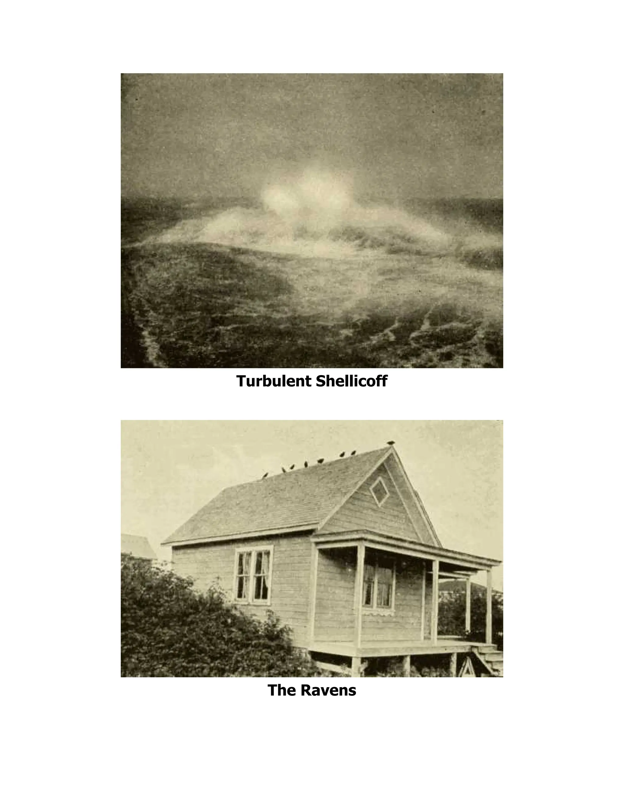 Turbulent Shellicoff
The Ravens
 