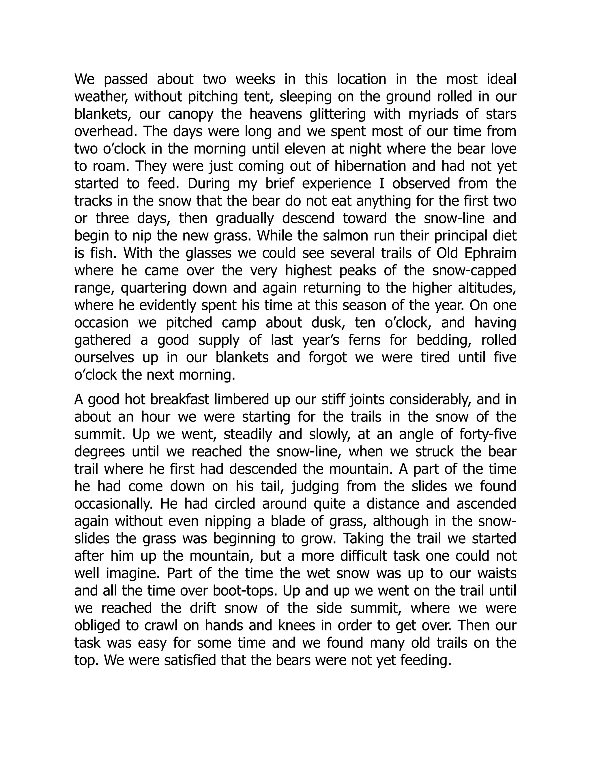 We passed about two weeks in this location in the most ideal
weather, without pitching tent, sleeping on the ground rolled in our
blankets, our canopy the heavens glittering with myriads of stars
overhead. The days were long and we spent most of our time from
two o’clock in the morning until eleven at night where the bear love
to roam. They were just coming out of hibernation and had not yet
started to feed. During my brief experience I observed from the
tracks in the snow that the bear do not eat anything for the first two
or three days, then gradually descend toward the snow-line and
begin to nip the new grass. While the salmon run their principal diet
is fish. With the glasses we could see several trails of Old Ephraim
where he came over the very highest peaks of the snow-capped
range, quartering down and again returning to the higher altitudes,
where he evidently spent his time at this season of the year. On one
occasion we pitched camp about dusk, ten o’clock, and having
gathered a good supply of last year’s ferns for bedding, rolled
ourselves up in our blankets and forgot we were tired until five
o’clock the next morning.
A good hot breakfast limbered up our stiff joints considerably, and in
about an hour we were starting for the trails in the snow of the
summit. Up we went, steadily and slowly, at an angle of forty-five
degrees until we reached the snow-line, when we struck the bear
trail where he first had descended the mountain. A part of the time
he had come down on his tail, judging from the slides we found
occasionally. He had circled around quite a distance and ascended
again without even nipping a blade of grass, although in the snow-
slides the grass was beginning to grow. Taking the trail we started
after him up the mountain, but a more difficult task one could not
well imagine. Part of the time the wet snow was up to our waists
and all the time over boot-tops. Up and up we went on the trail until
we reached the drift snow of the side summit, where we were
obliged to crawl on hands and knees in order to get over. Then our
task was easy for some time and we found many old trails on the
top. We were satisfied that the bears were not yet feeding.
 