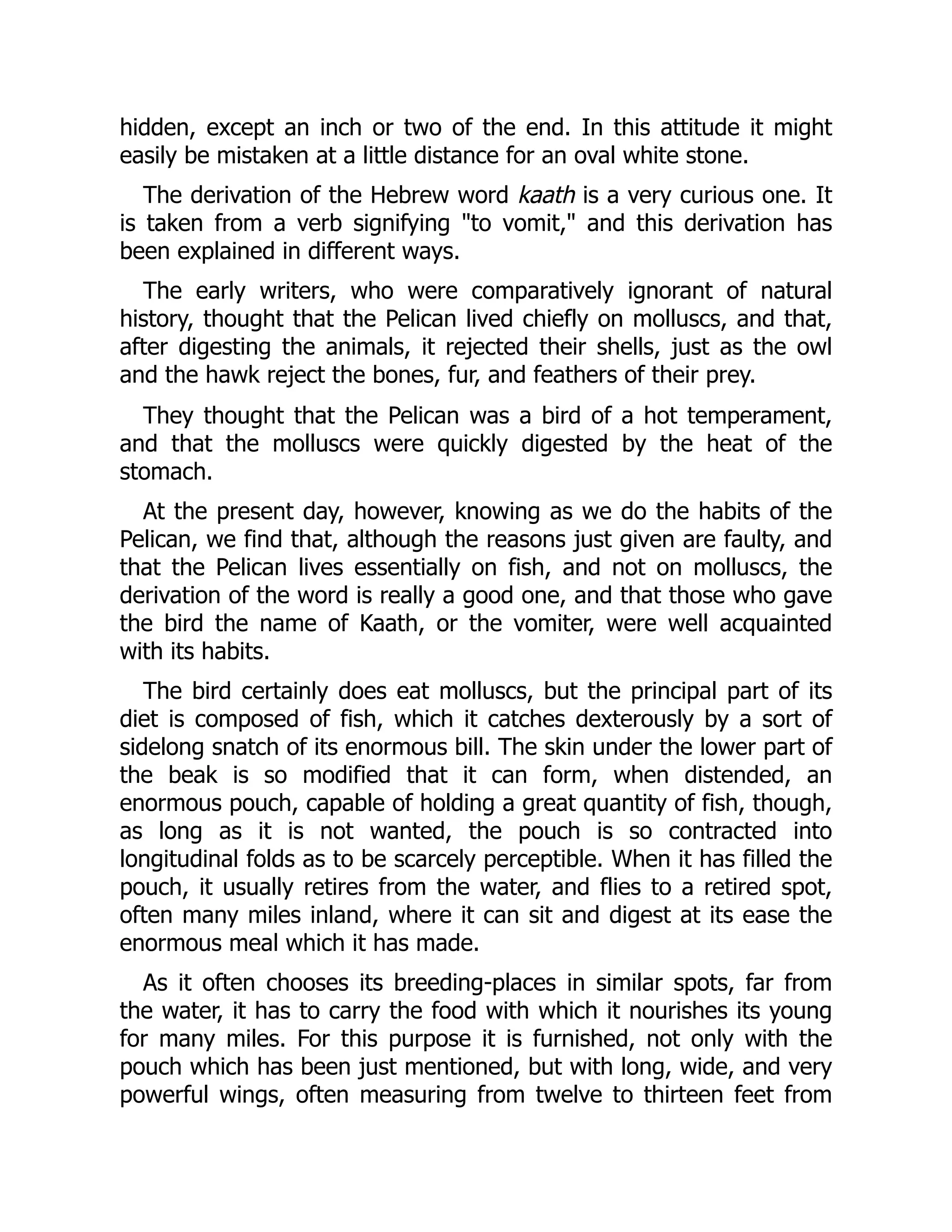 hidden, except an inch or two of the end. In this attitude it might
easily be mistaken at a little distance for an oval white stone.
The derivation of the Hebrew word kaath is a very curious one. It
is taken from a verb signifying to vomit, and this derivation has
been explained in different ways.
The early writers, who were comparatively ignorant of natural
history, thought that the Pelican lived chiefly on molluscs, and that,
after digesting the animals, it rejected their shells, just as the owl
and the hawk reject the bones, fur, and feathers of their prey.
They thought that the Pelican was a bird of a hot temperament,
and that the molluscs were quickly digested by the heat of the
stomach.
At the present day, however, knowing as we do the habits of the
Pelican, we find that, although the reasons just given are faulty, and
that the Pelican lives essentially on fish, and not on molluscs, the
derivation of the word is really a good one, and that those who gave
the bird the name of Kaath, or the vomiter, were well acquainted
with its habits.
The bird certainly does eat molluscs, but the principal part of its
diet is composed of fish, which it catches dexterously by a sort of
sidelong snatch of its enormous bill. The skin under the lower part of
the beak is so modified that it can form, when distended, an
enormous pouch, capable of holding a great quantity of fish, though,
as long as it is not wanted, the pouch is so contracted into
longitudinal folds as to be scarcely perceptible. When it has filled the
pouch, it usually retires from the water, and flies to a retired spot,
often many miles inland, where it can sit and digest at its ease the
enormous meal which it has made.
As it often chooses its breeding-places in similar spots, far from
the water, it has to carry the food with which it nourishes its young
for many miles. For this purpose it is furnished, not only with the
pouch which has been just mentioned, but with long, wide, and very
powerful wings, often measuring from twelve to thirteen feet from
 