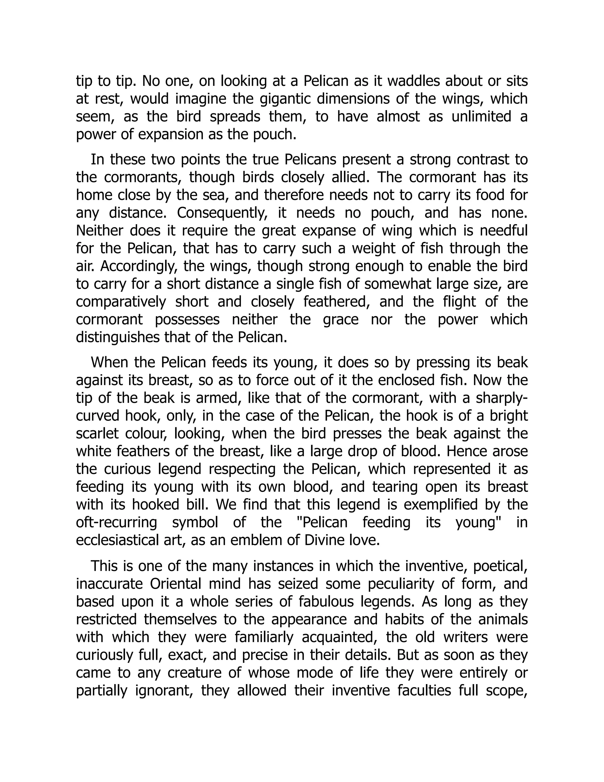tip to tip. No one, on looking at a Pelican as it waddles about or sits
at rest, would imagine the gigantic dimensions of the wings, which
seem, as the bird spreads them, to have almost as unlimited a
power of expansion as the pouch.
In these two points the true Pelicans present a strong contrast to
the cormorants, though birds closely allied. The cormorant has its
home close by the sea, and therefore needs not to carry its food for
any distance. Consequently, it needs no pouch, and has none.
Neither does it require the great expanse of wing which is needful
for the Pelican, that has to carry such a weight of fish through the
air. Accordingly, the wings, though strong enough to enable the bird
to carry for a short distance a single fish of somewhat large size, are
comparatively short and closely feathered, and the flight of the
cormorant possesses neither the grace nor the power which
distinguishes that of the Pelican.
When the Pelican feeds its young, it does so by pressing its beak
against its breast, so as to force out of it the enclosed fish. Now the
tip of the beak is armed, like that of the cormorant, with a sharply-
curved hook, only, in the case of the Pelican, the hook is of a bright
scarlet colour, looking, when the bird presses the beak against the
white feathers of the breast, like a large drop of blood. Hence arose
the curious legend respecting the Pelican, which represented it as
feeding its young with its own blood, and tearing open its breast
with its hooked bill. We find that this legend is exemplified by the
oft-recurring symbol of the Pelican feeding its young in
ecclesiastical art, as an emblem of Divine love.
This is one of the many instances in which the inventive, poetical,
inaccurate Oriental mind has seized some peculiarity of form, and
based upon it a whole series of fabulous legends. As long as they
restricted themselves to the appearance and habits of the animals
with which they were familiarly acquainted, the old writers were
curiously full, exact, and precise in their details. But as soon as they
came to any creature of whose mode of life they were entirely or
partially ignorant, they allowed their inventive faculties full scope,
 