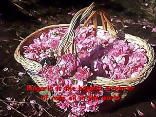 Bulgaria is the biggest producer
    of rose oil in the world.
 