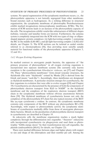 Primary Processes Of Photosynthesis Parts 12 Principles And Apparatus ...
