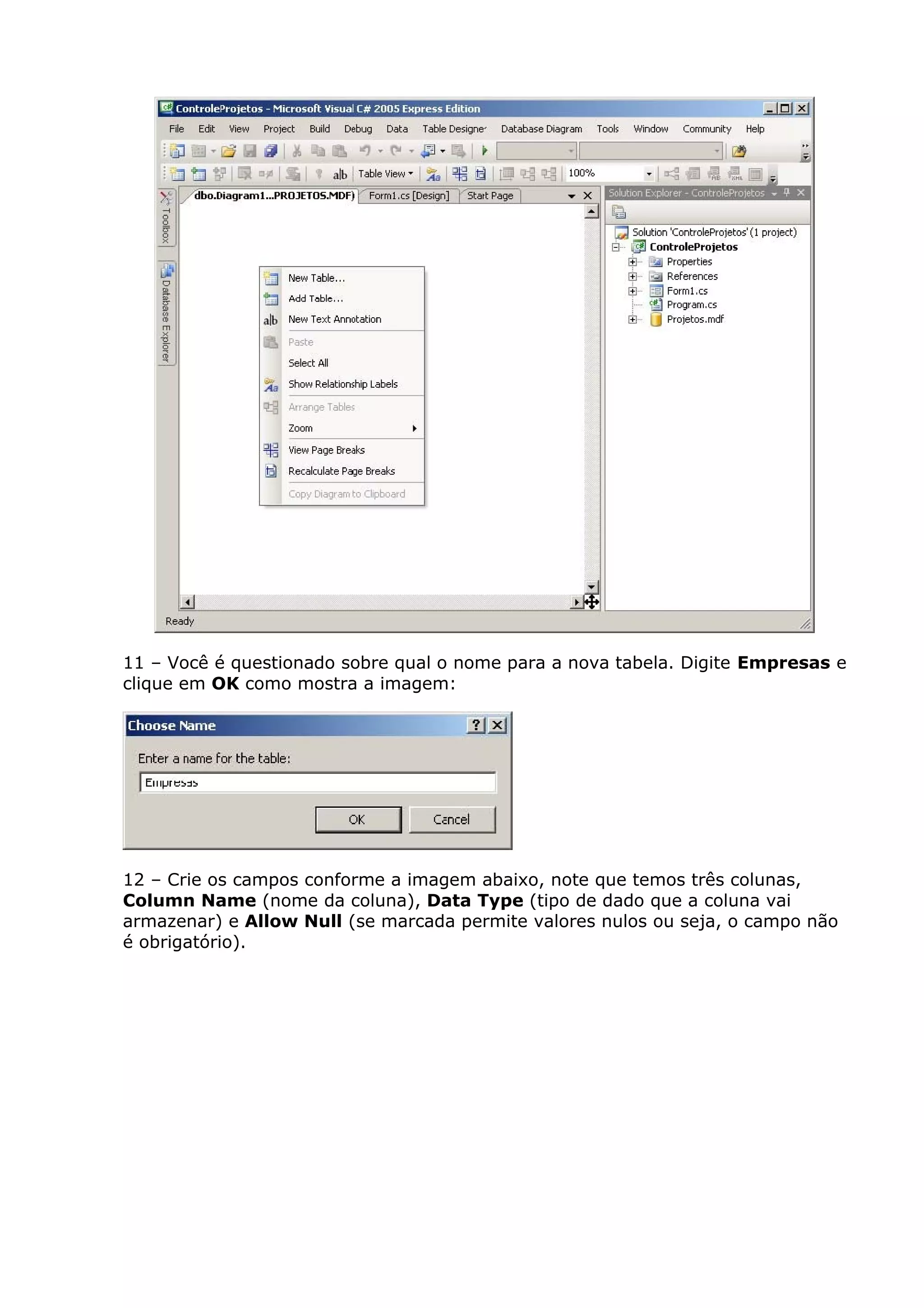 11 – Você é questionado sobre qual o nome para a nova tabela. Digite Empresas e
clique em OK como mostra a imagem:
12 – Crie os campos conforme a imagem abaixo, note que temos três colunas,
Column Name (nome da coluna), Data Type (tipo de dado que a coluna vai
armazenar) e Allow Null (se marcada permite valores nulos ou seja, o campo não
é obrigatório).
 