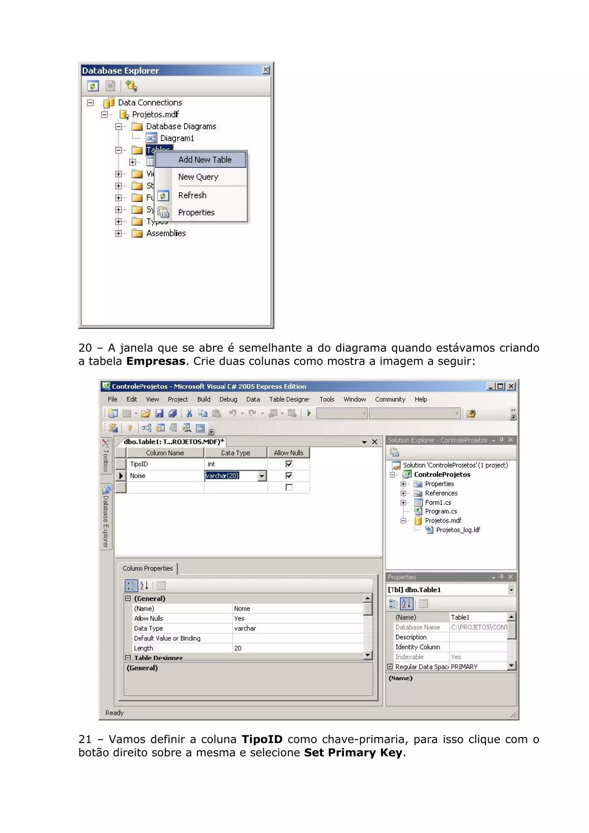 20 – A janela que se abre é semelhante a do diagrama quando estávamos criando
a tabela Empresas. Crie duas colunas como mostra a imagem a seguir:
21 – Vamos definir a coluna TipoID como chave-primaria, para isso clique com o
botão direito sobre a mesma e selecione Set Primary Key.
 
