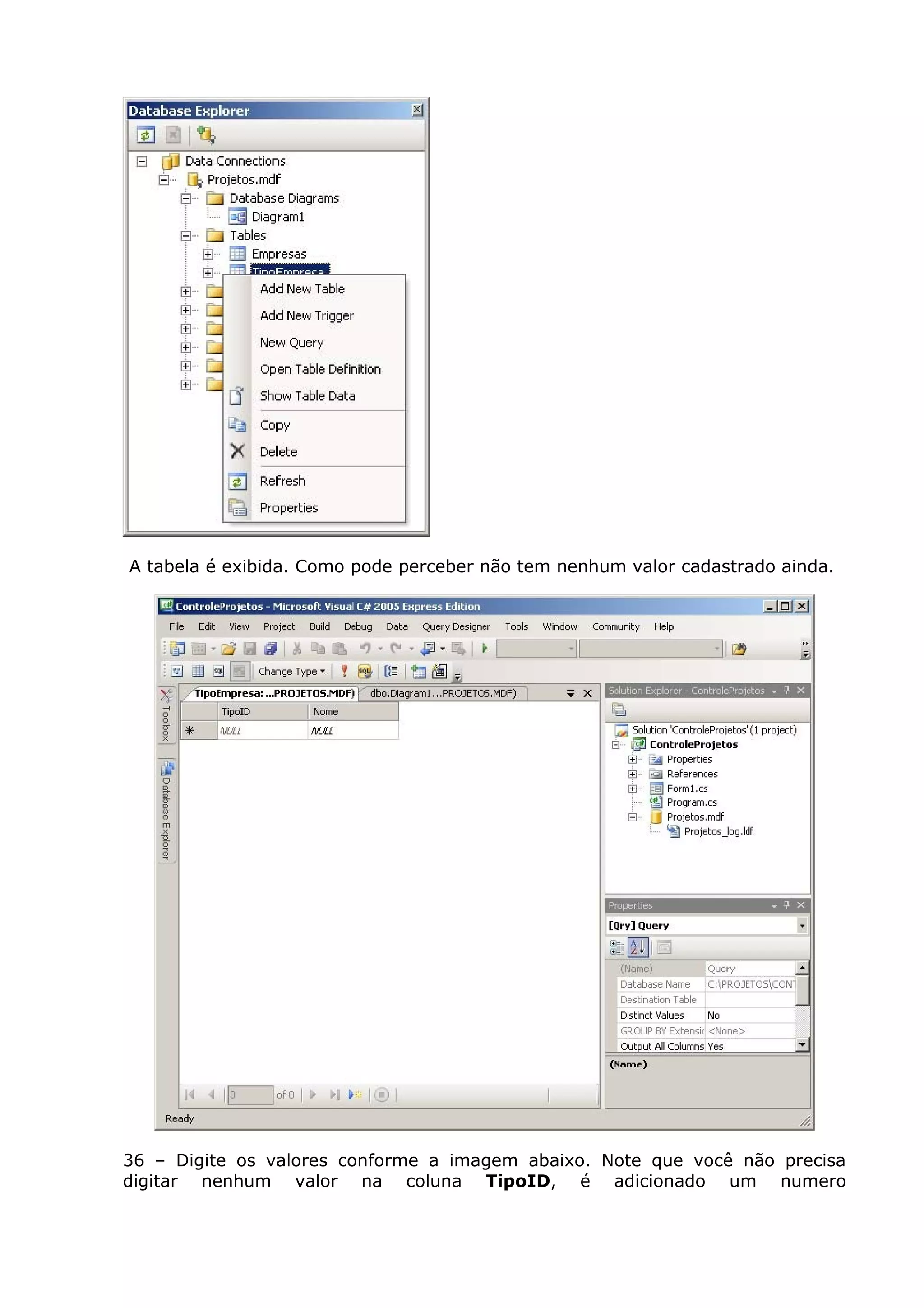 A tabela é exibida. Como pode perceber não tem nenhum valor cadastrado ainda.
36 – Digite os valores conforme a imagem abaixo. Note que você não precisa
digitar nenhum valor na coluna TipoID, é adicionado um numero
 
