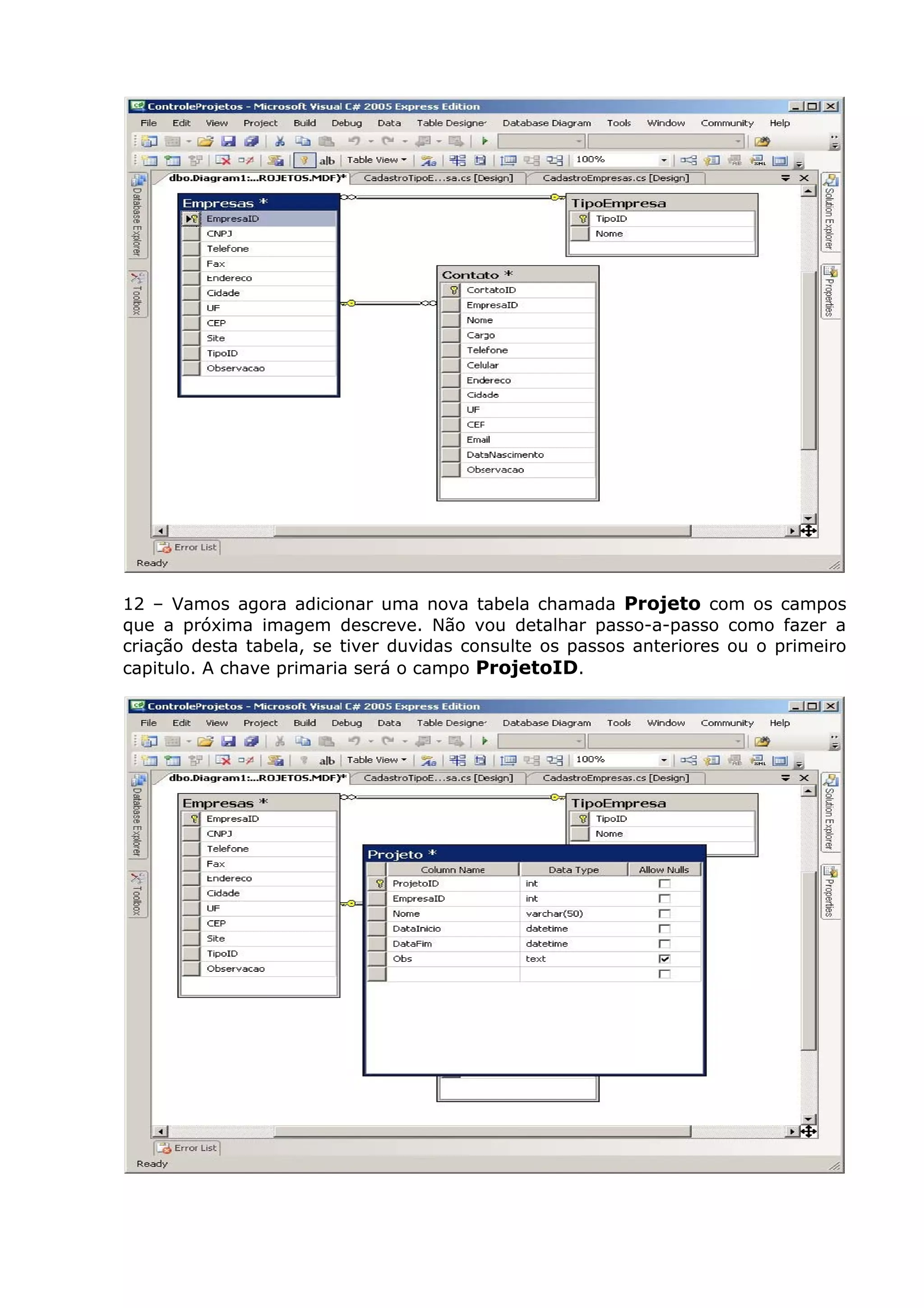 12 – Vamos agora adicionar uma nova tabela chamada Projeto com os campos
que a próxima imagem descreve. Não vou detalhar passo-a-passo como fazer a
criação desta tabela, se tiver duvidas consulte os passos anteriores ou o primeiro
capitulo. A chave primaria será o campo ProjetoID.
 