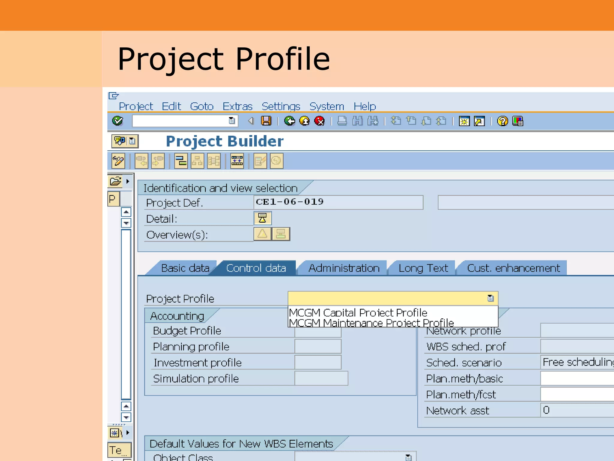 Project System
 Module (PS)     Project Profile




                                   13
 