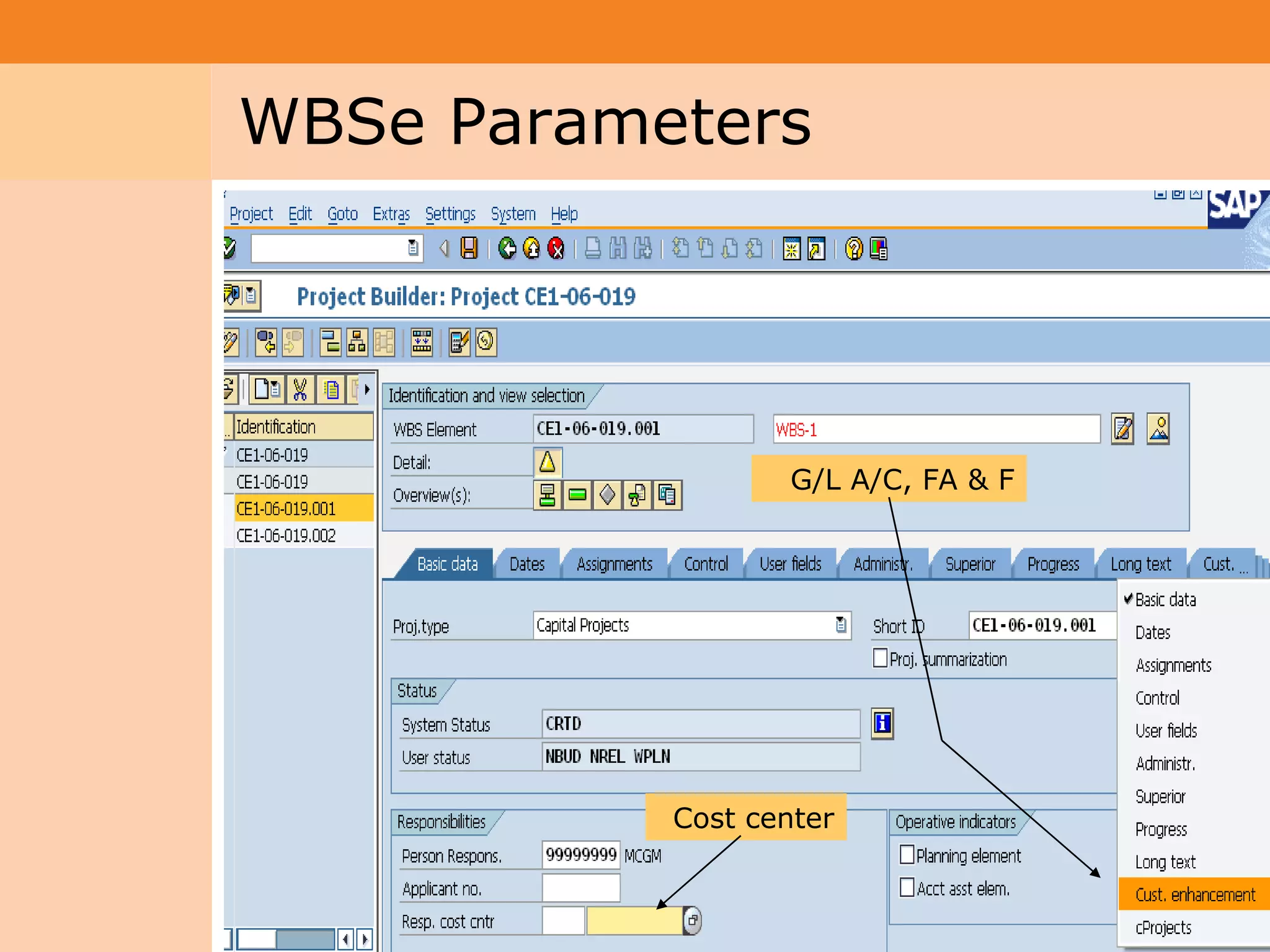 Project System
 Module (PS)     WBSe Parameters




                                    G/L A/C, FA & F




                            Cost center


                                                      18
 