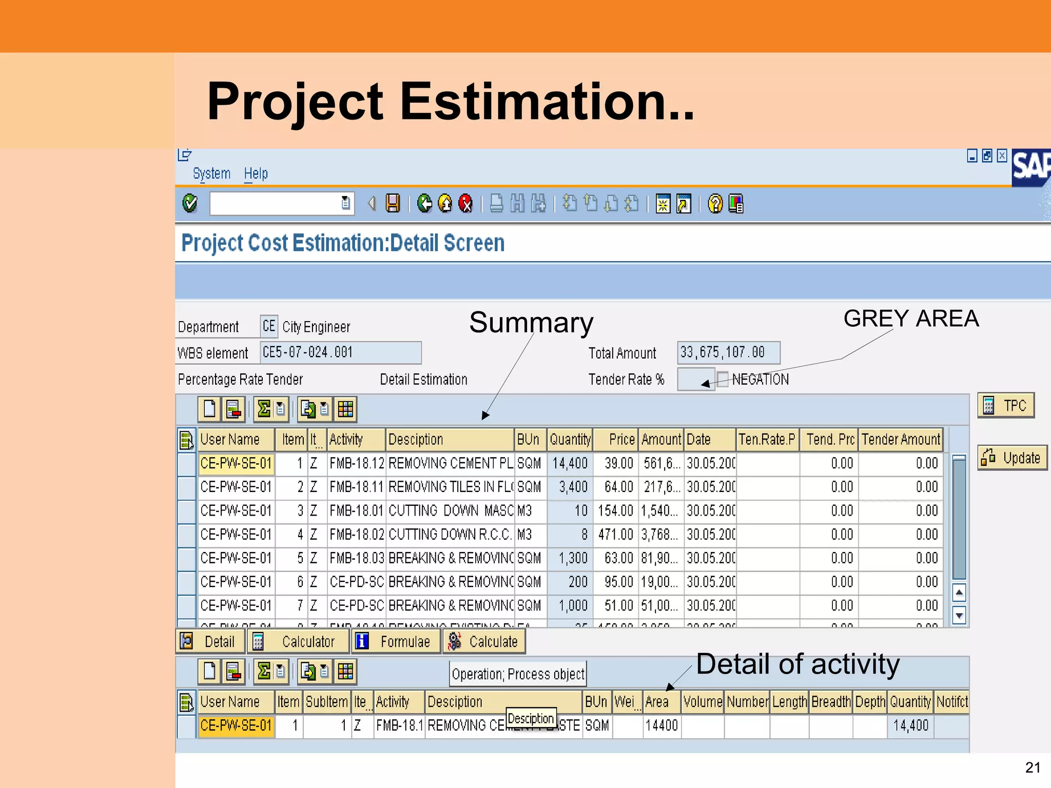 Project System
 Module (PS)     Project Estimation..



                           Summary               GREY AREA




                                     Detail of activity


                                                             21
 
