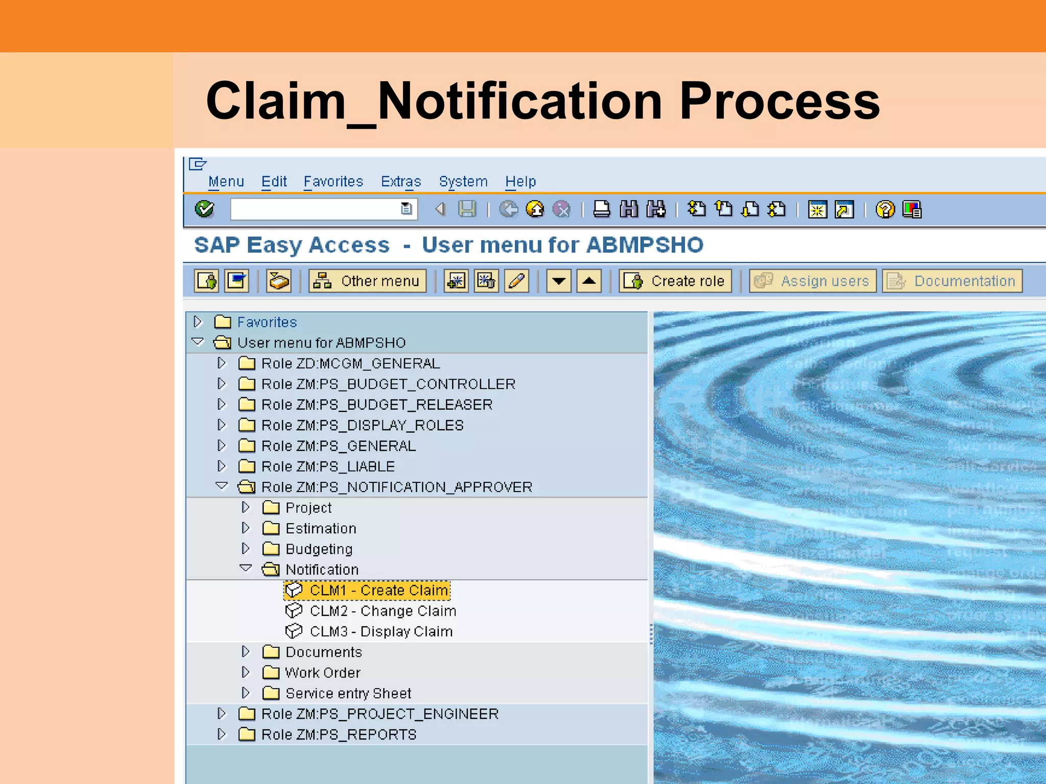 Project System
 Module (PS)     Claim_Notification Process




                                              22
 