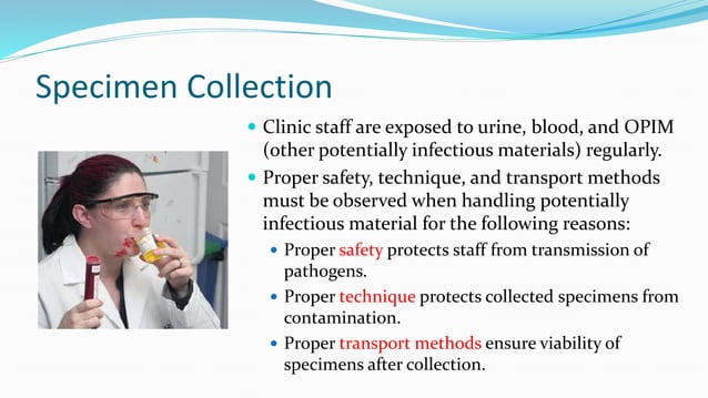 Specimen Collection (updated) | PPT