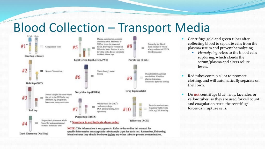 Specimen Collection (updated)