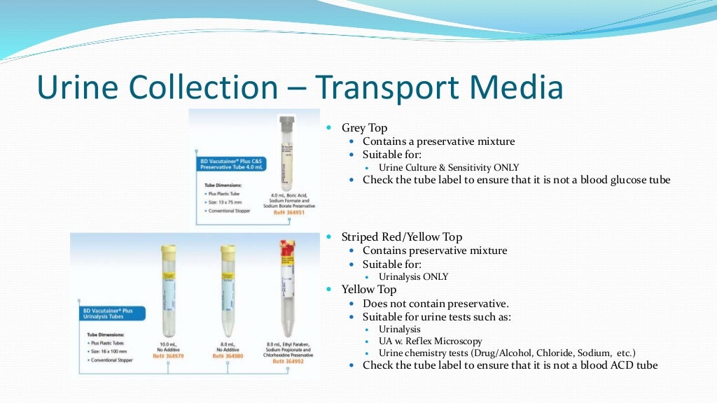 Specimen Collection (updated)