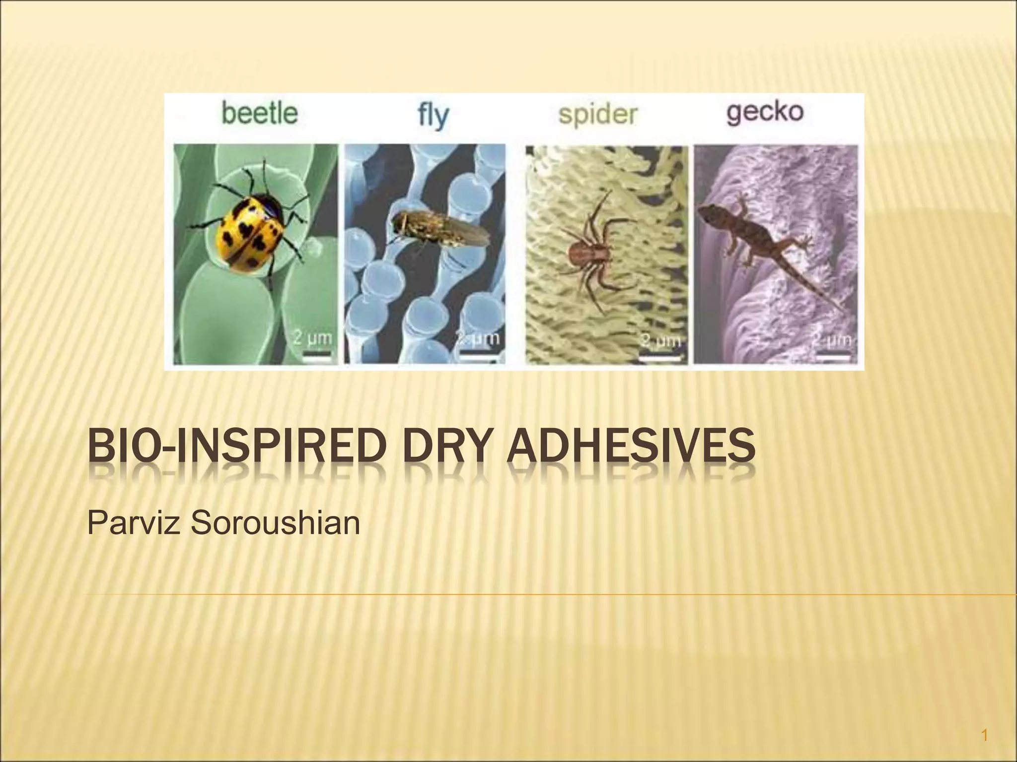 23 6 14 Bio Inspired Adhesives PS.ppt